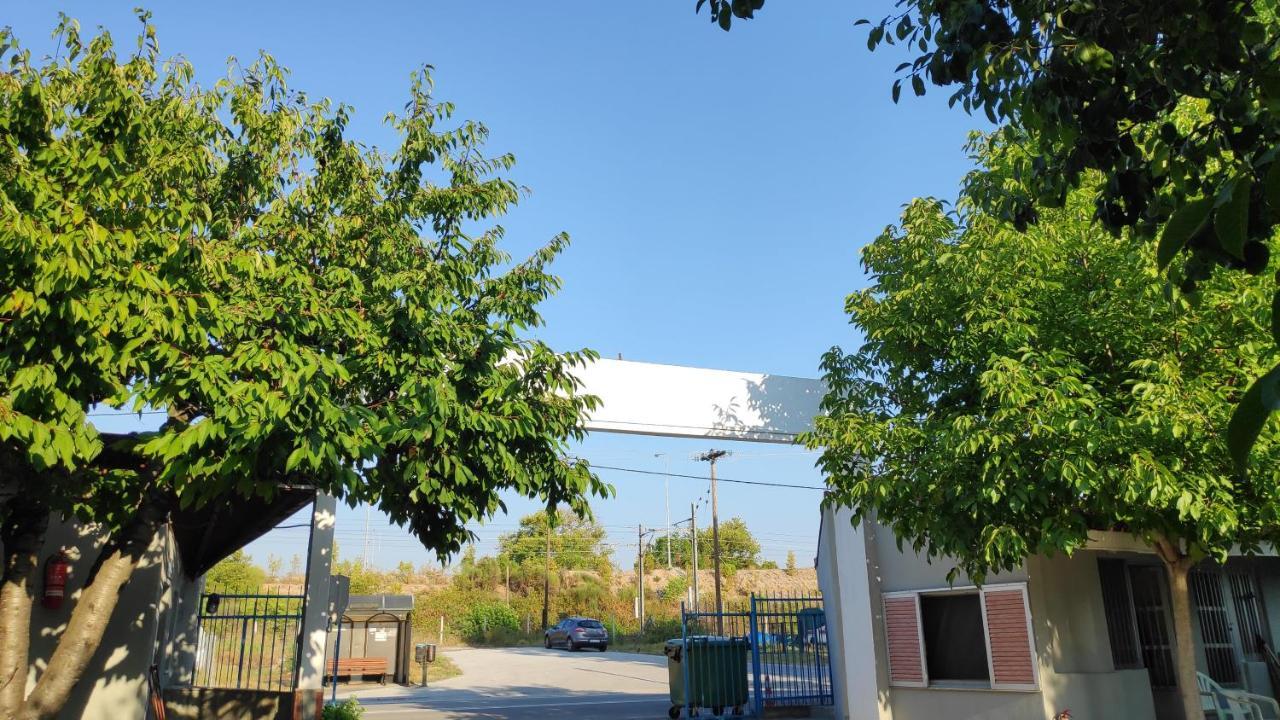 Camping Mitikas And Bungalows Plaka Litochorou Buitenkant foto